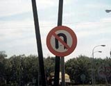 Pregunta 8